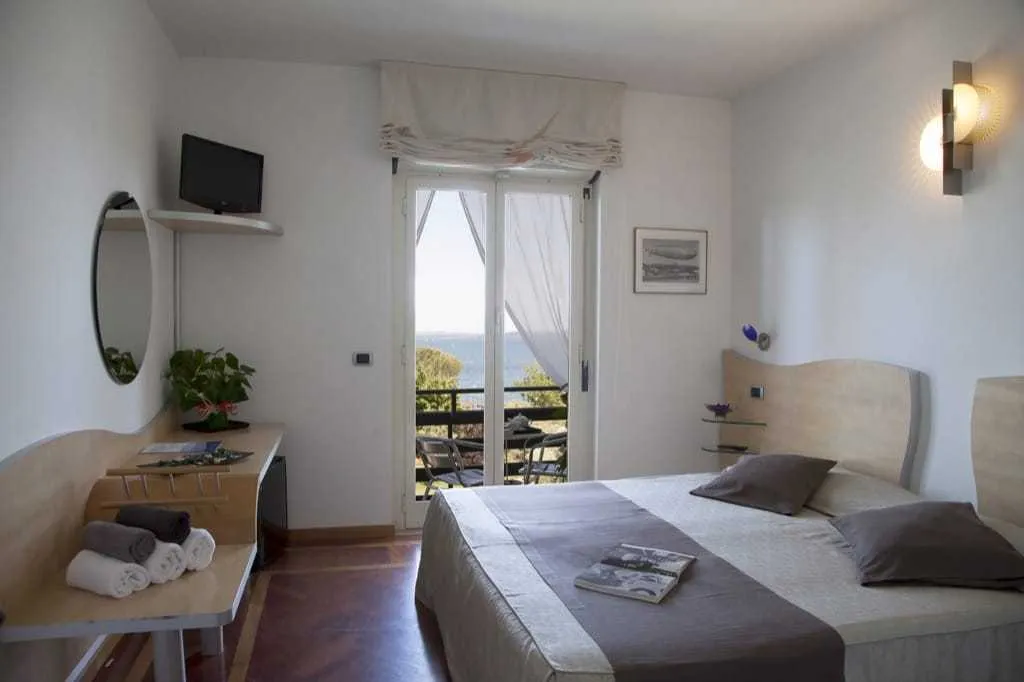 DOUBLE SINGLE USE STANDARD Room, Alfredo Hotel, Rome