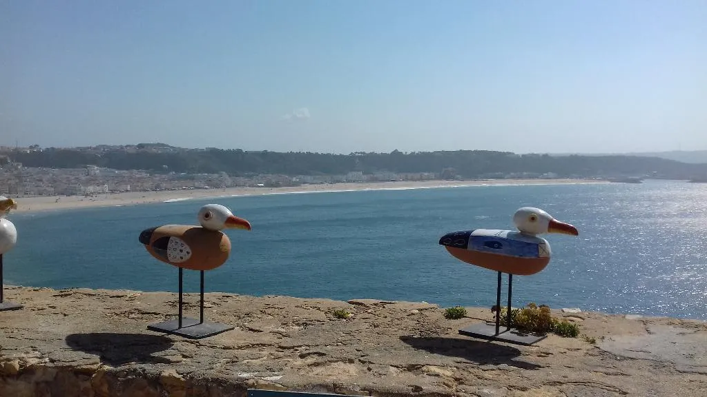 Beach, Casa Ceedina Bed and Breakfast, Porto