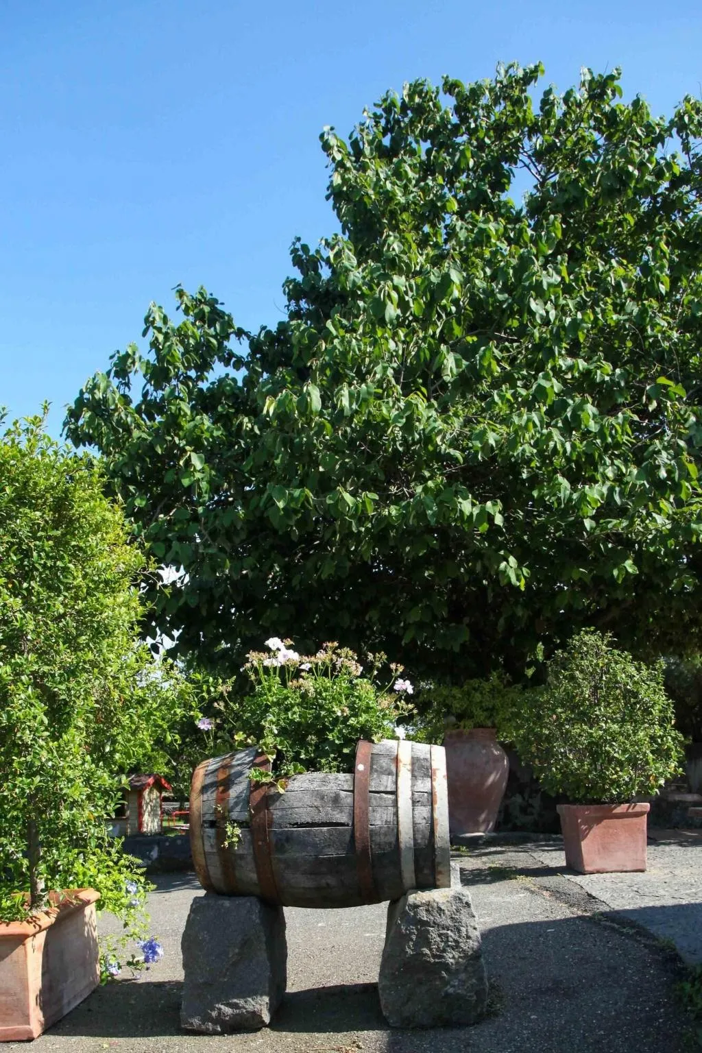 Terrace, Galea, Catania