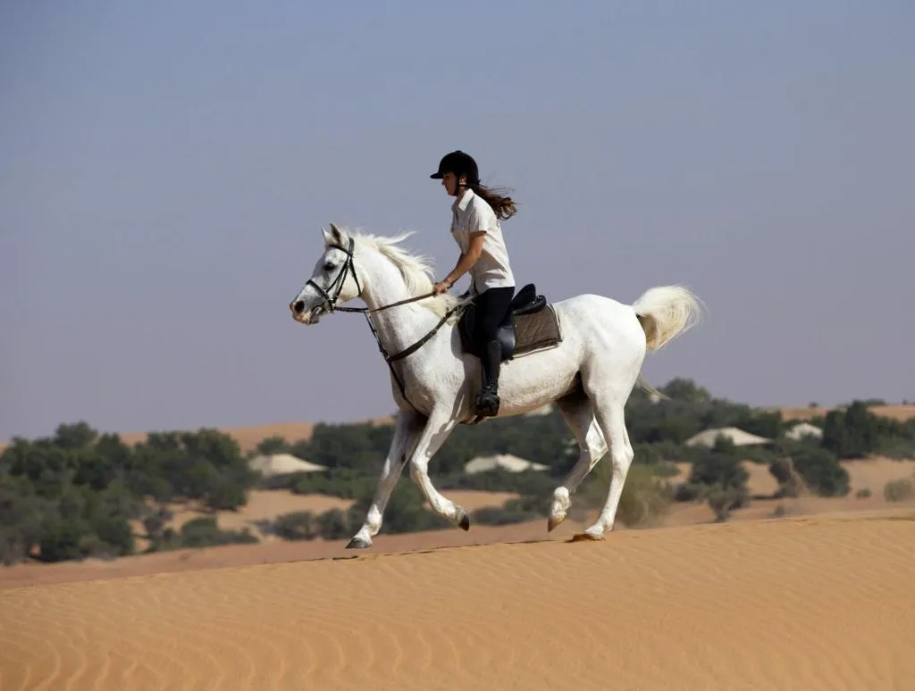 Sports and Entertainment, Al Maha, a Luxury Collection Desert Resort & Spa, Dubai