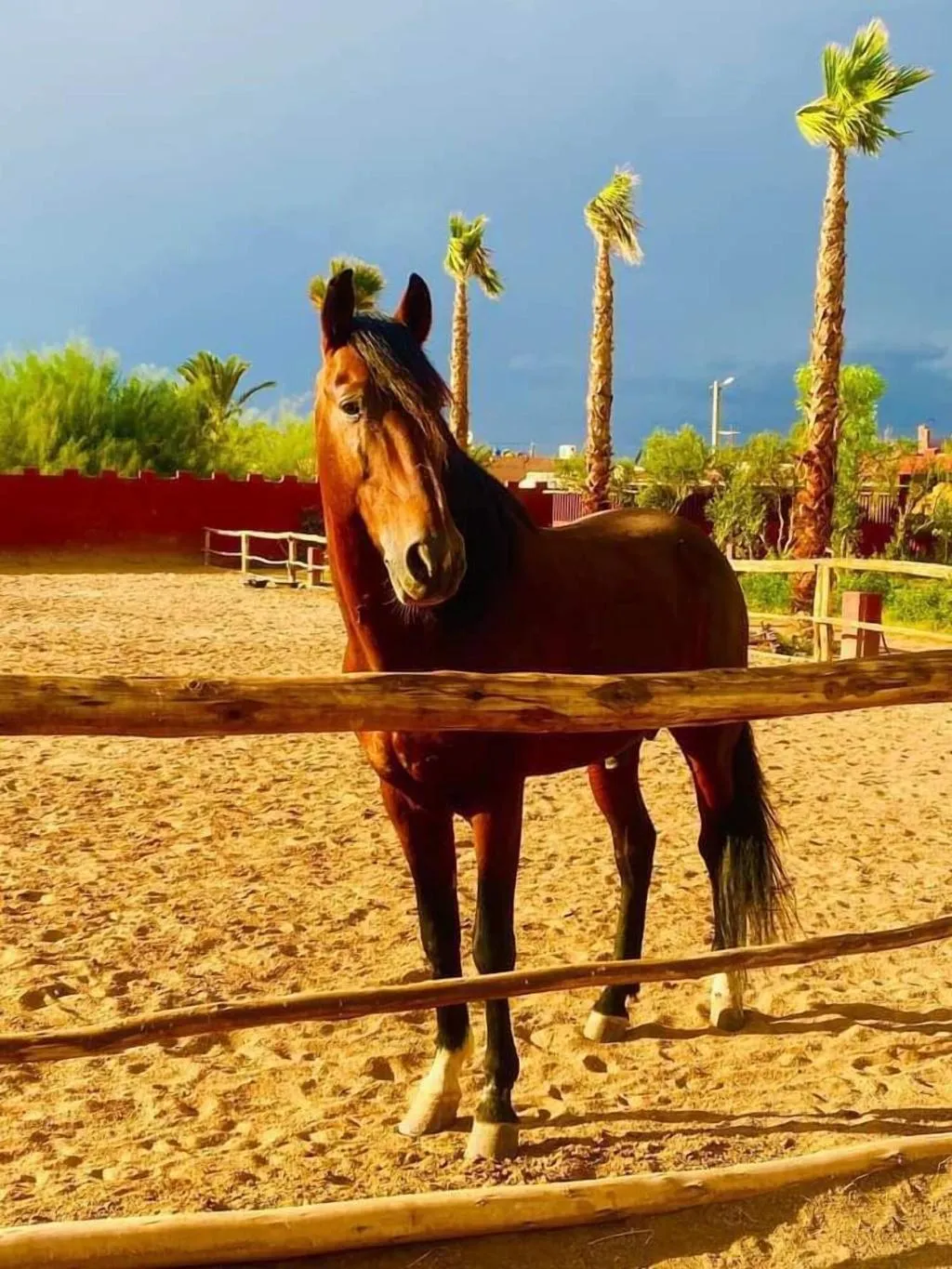Sports and Entertainment, Le Relais De Marrakech, Marrakech