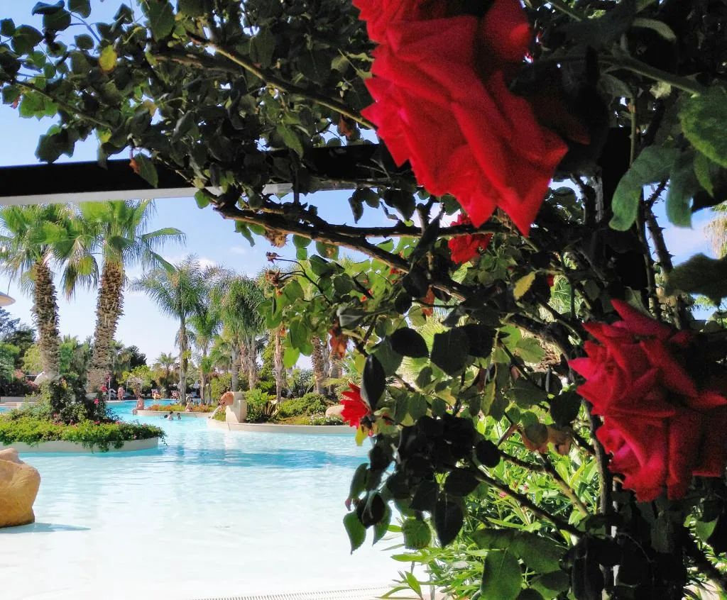 Pool, Mclub Acacia Resort, Palermo