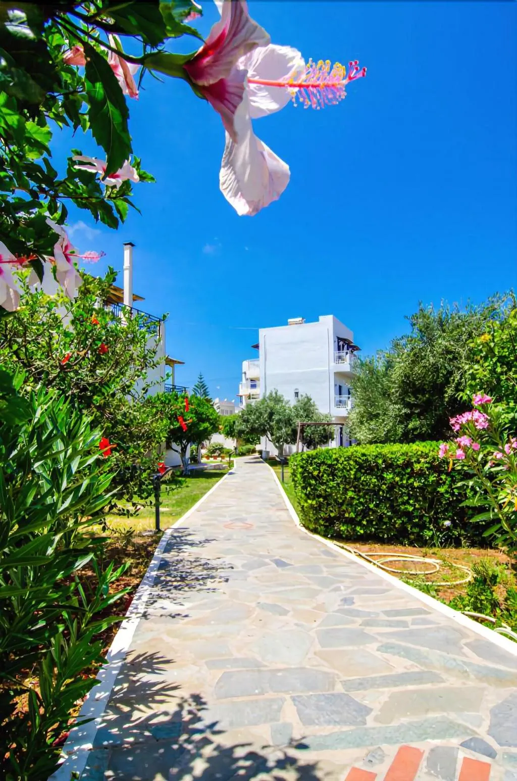 General view, Sergiani Apartments, Crete
