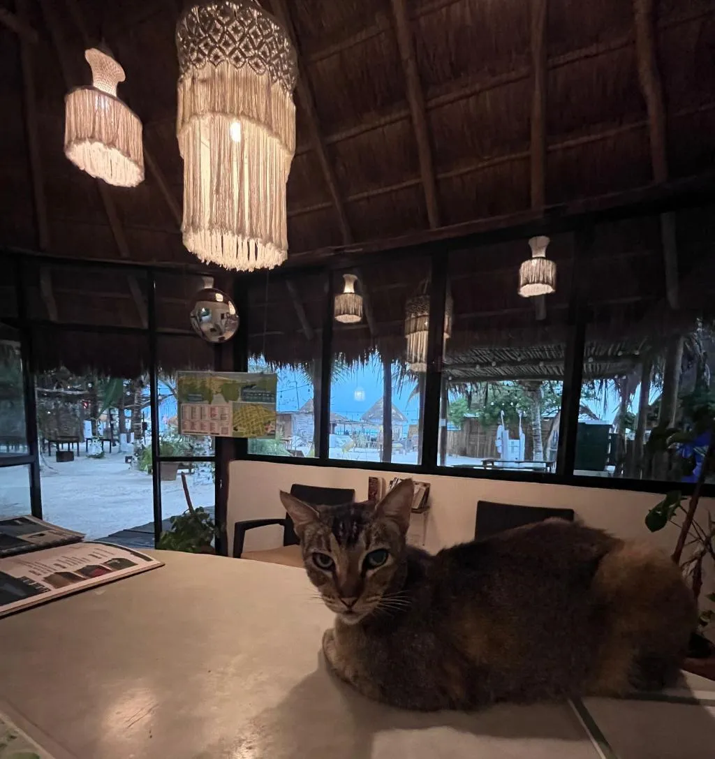 Lobby, La Diosa Kali Beach Front Hotel, Cancun Area