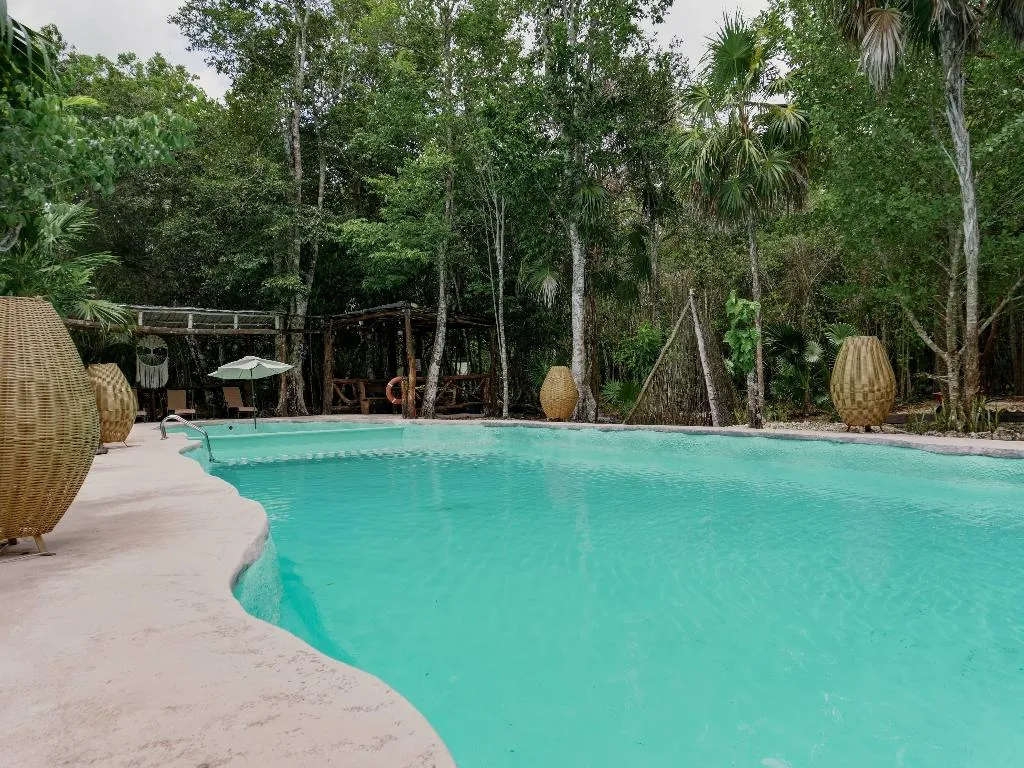 Pool, Jolie Jungle, Cancun Area