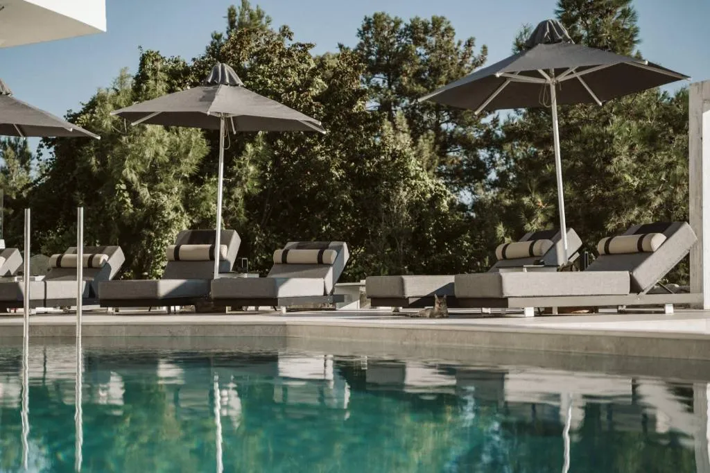 Pool, Akrotiri Olympus Luxury Suites, Thessaloniki
