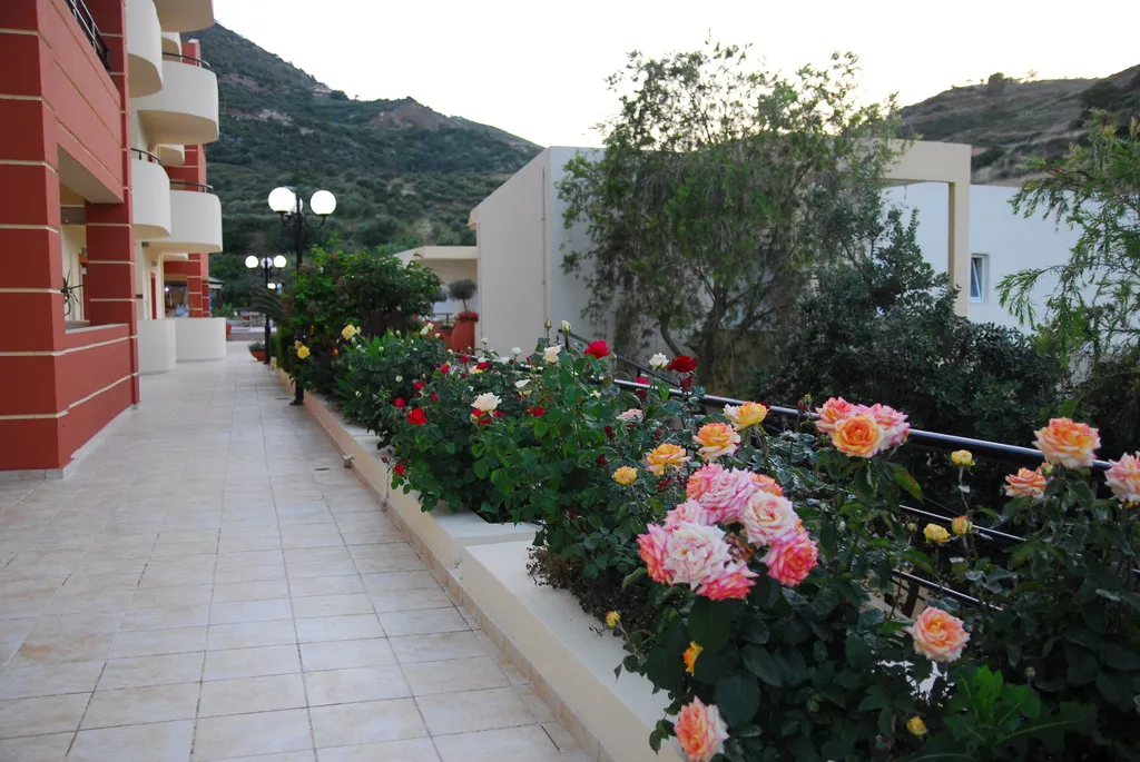 General view, Elpis Studios & Apartments, Crete