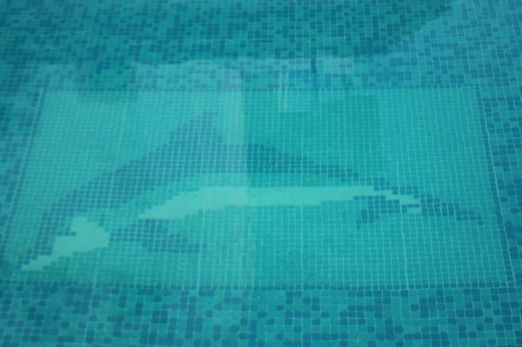 Pool, Lemon Tree, Bodrum