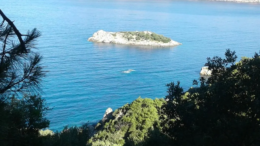 Beach, Dolphin Apart, Dalaman