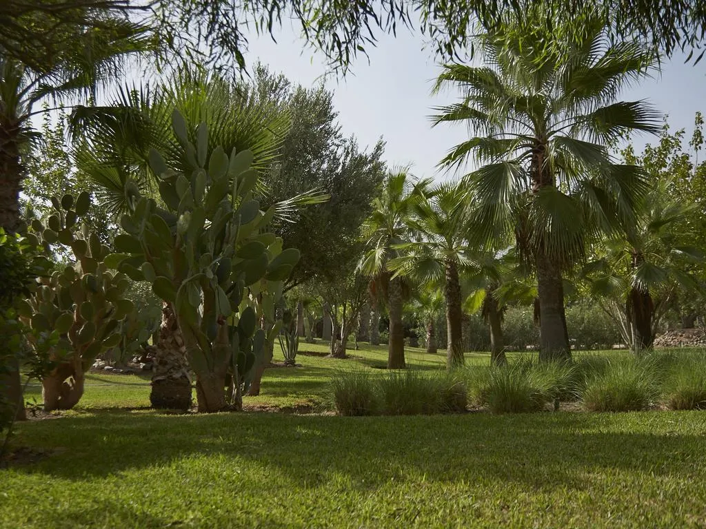 General view, Villa Vanille, Marrakech