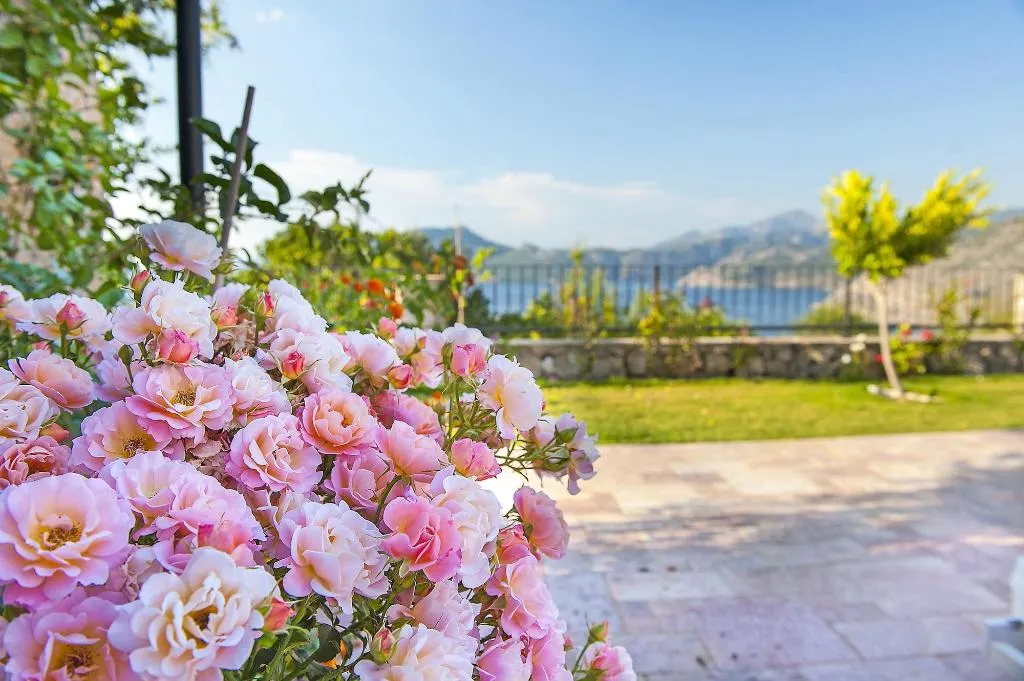 Sports and Entertainment, Swan Lake Boutique Hotel - Adults Only, Dalaman