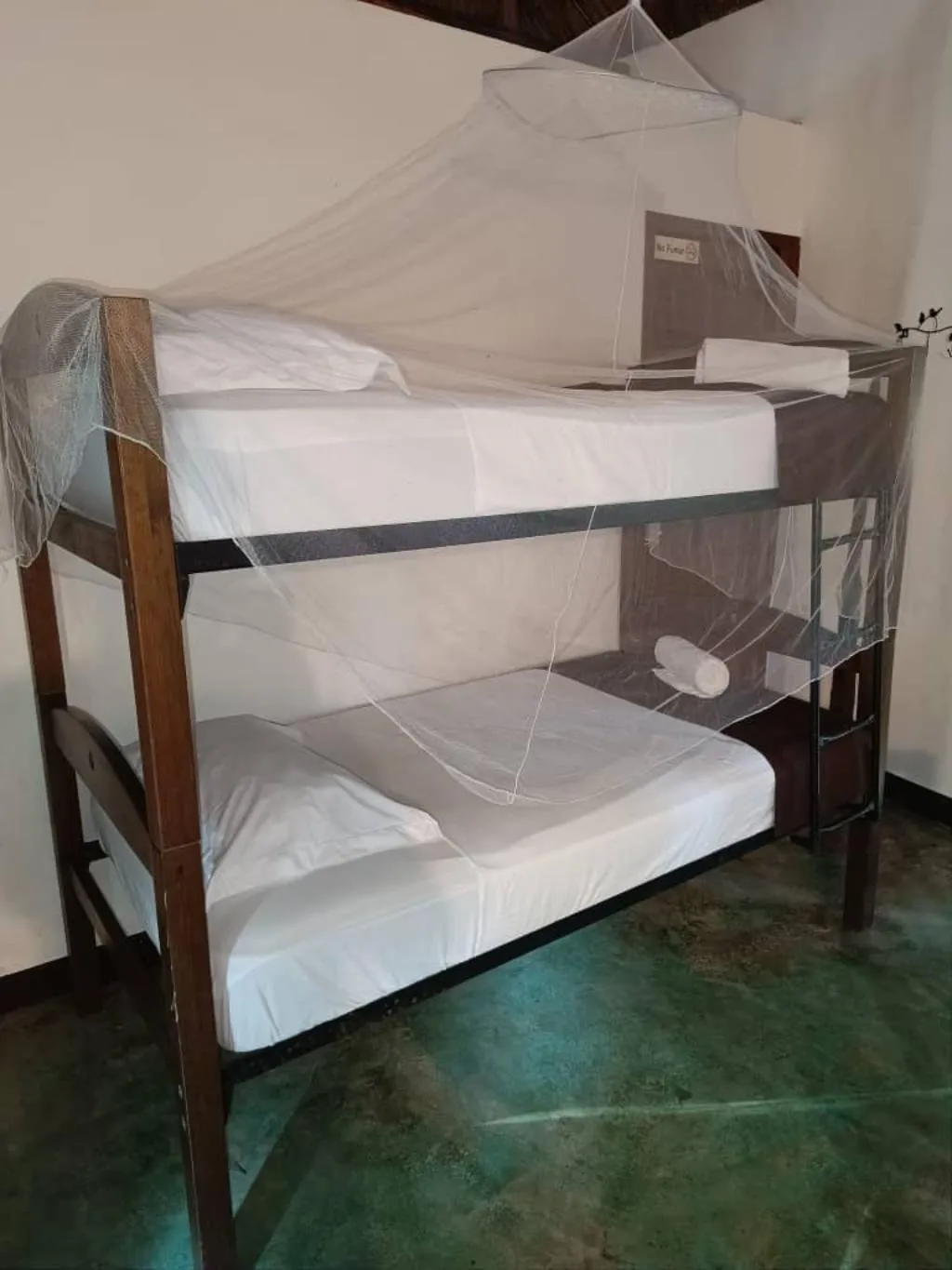 BUNGALOW STANDARD Room, Jolie Jungle, Cancun Area