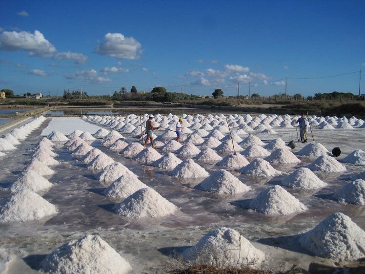 Casolare Nelle Saline, Palermo