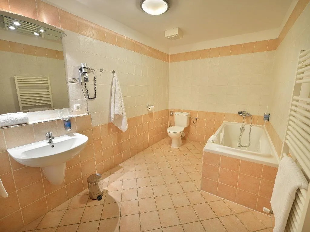 DOUBLE CAPACITY 3 Room, EA Hotel Tosca, Prague