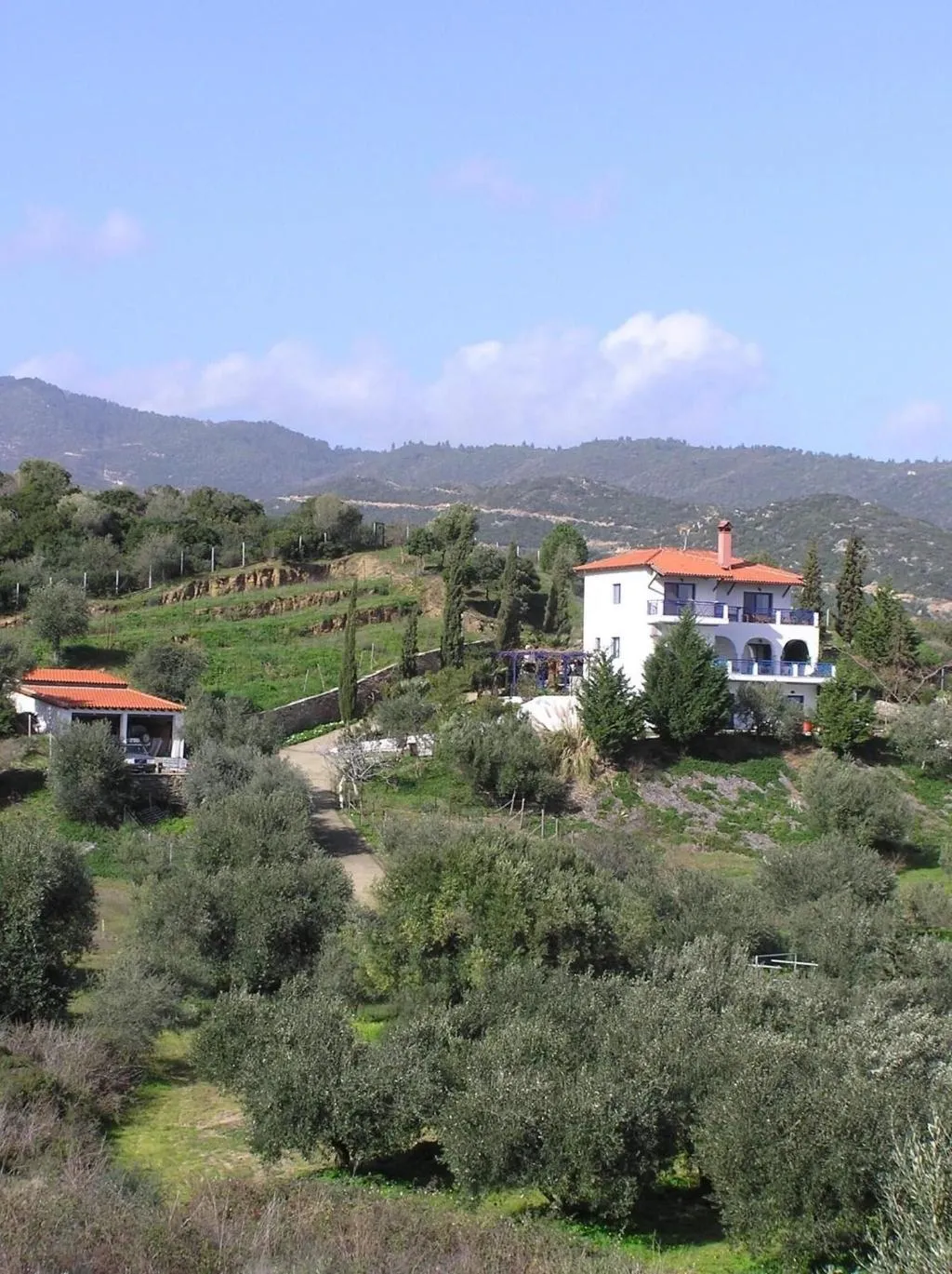 Sports and Entertainment, Sartivista, Halkidiki