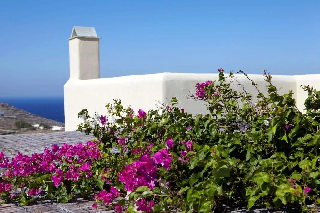 General view, Diles & Rinies, Mykonos