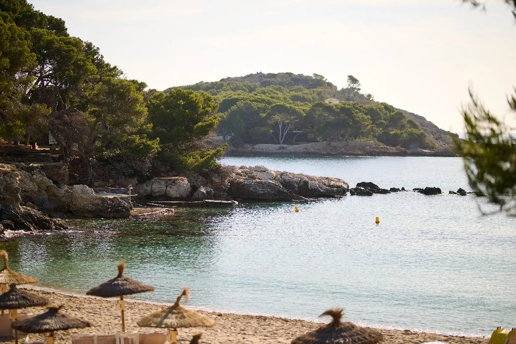 Beach, AluaSoul Hotel Carolina, Majorca