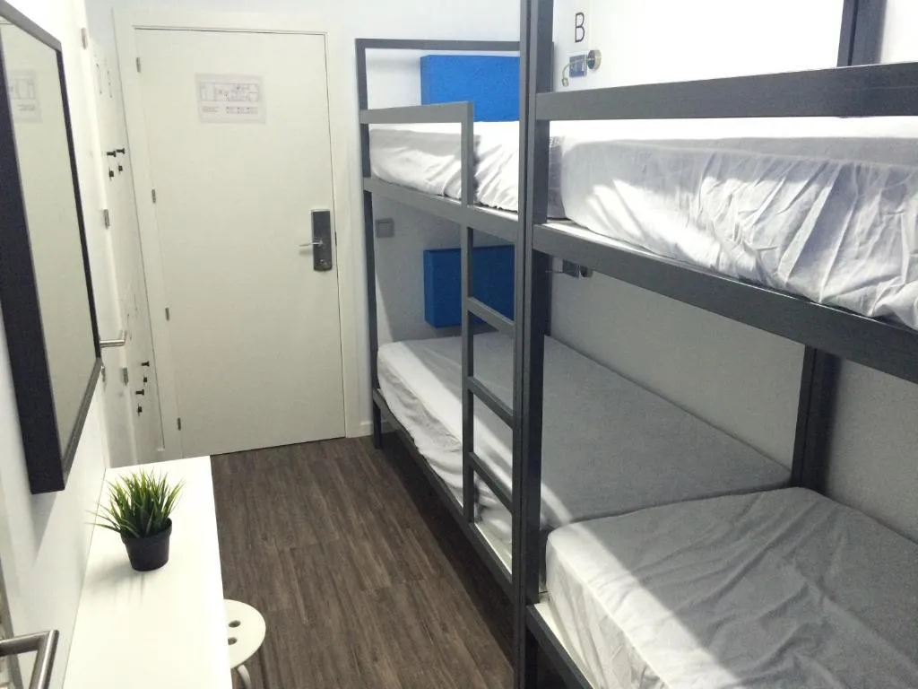 Bed in dormitory FEMALE ROOM Room, Chameleon Hostel Alicante, Costa Blanca