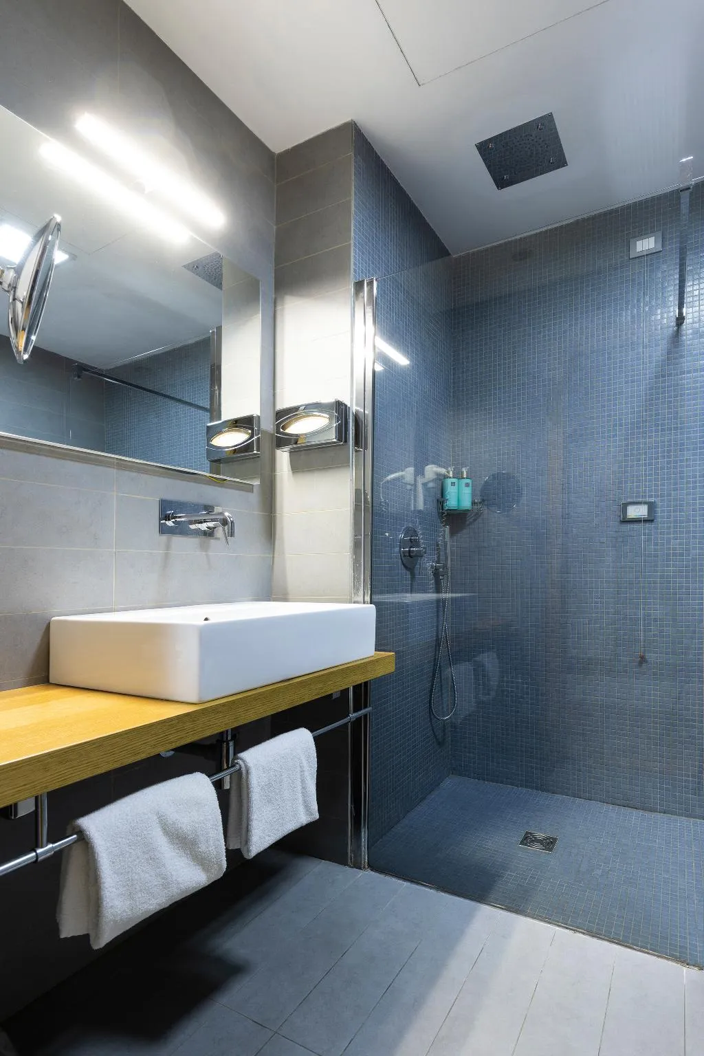 DOUBLE SINGLE USE STANDARD Room, Royal Caserta Hotel, Naples