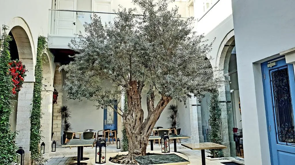 Lobby, S Paul Hotel, Cyprus