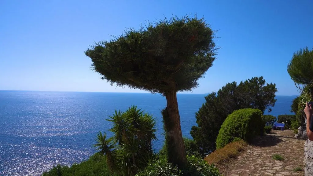 General view, Casa Orrico - Blue Grotto, Naples