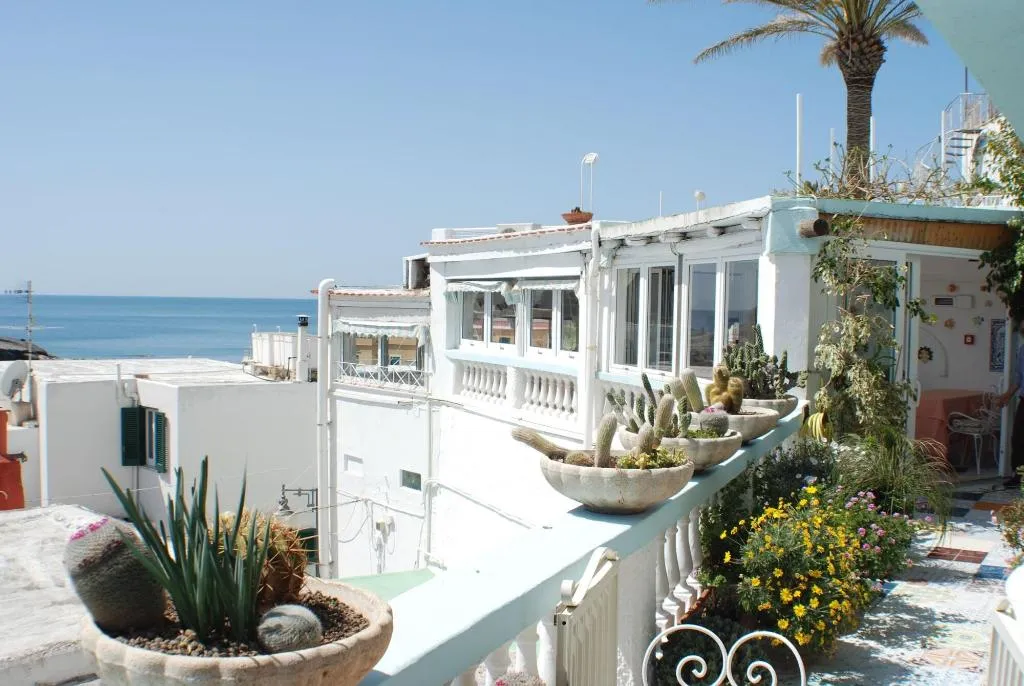 Terrace, La Palma, Naples