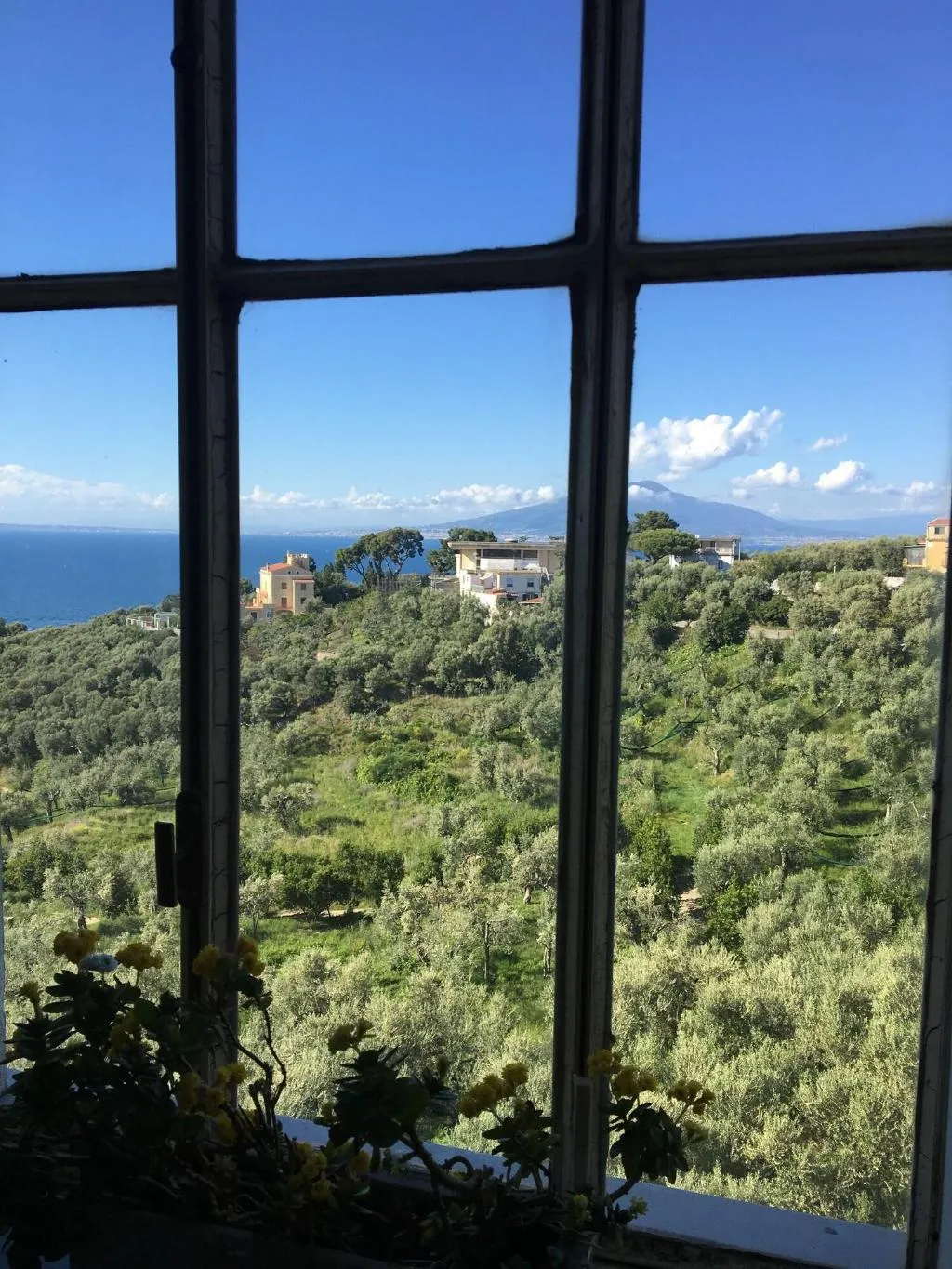 General view, Dania, Naples