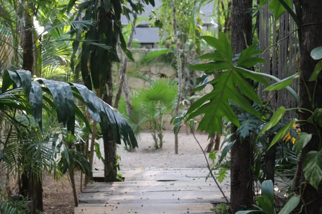 General view, Kuun Taak Tulum, Cancun Area