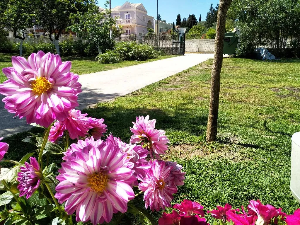 General view, Evergreen Kavos, Corfu