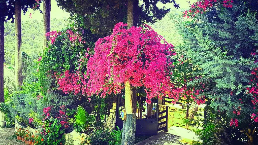 Lobby, Alya Hotel Göcek, Dalaman