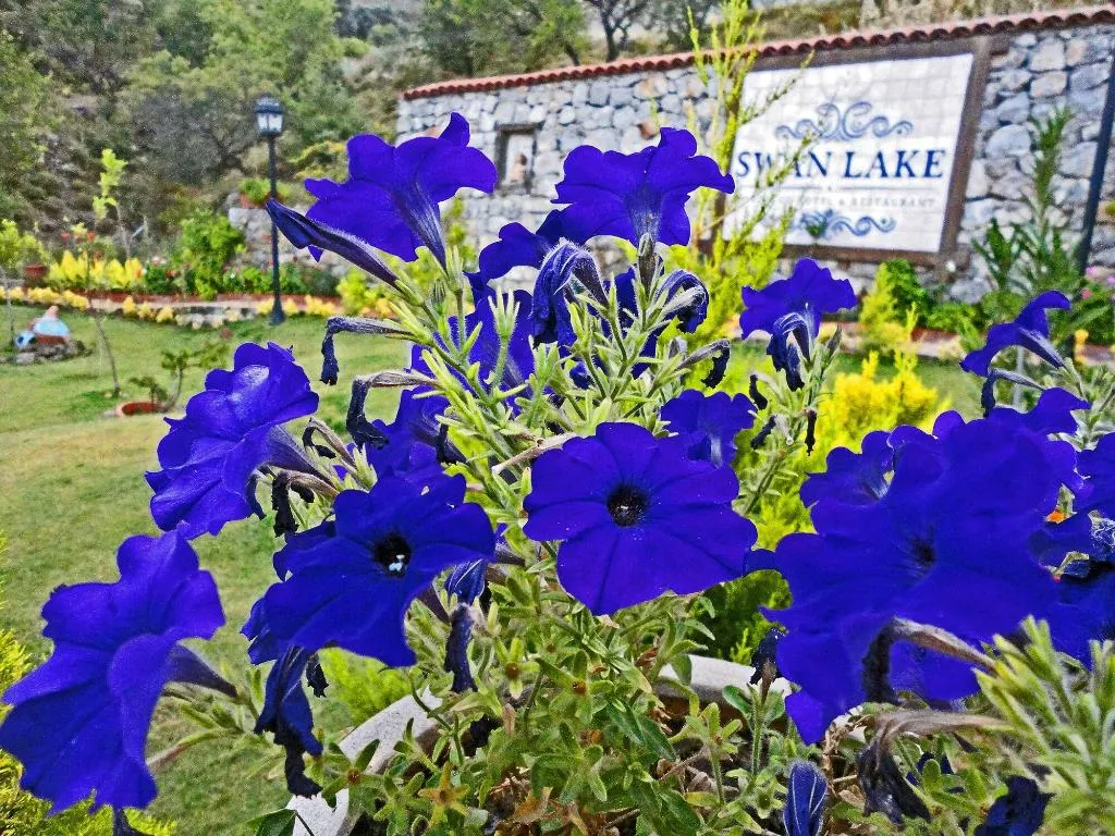 Terrace, Swan Lake Boutique Hotel - Adults Only, Dalaman