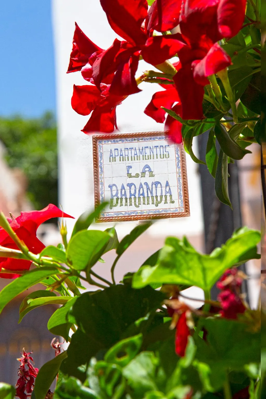 General view, La Baranda, Costa Del Sol