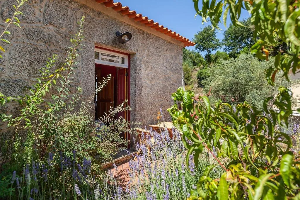 Room, Casa do Eido - sustainable living & nature experie, Porto