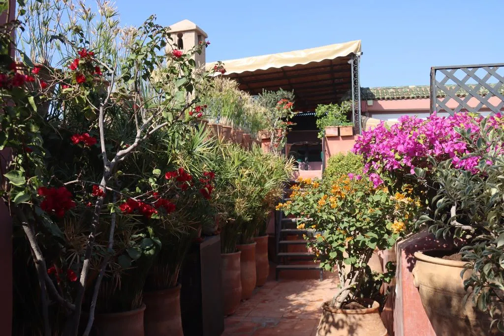 Terrace, Dar Al Assad, Marrakech