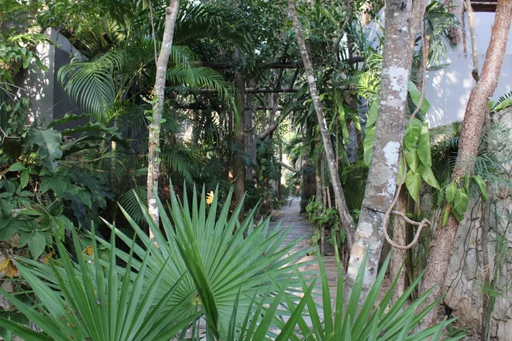 General view, Kuun Taak Tulum, Cancun Area