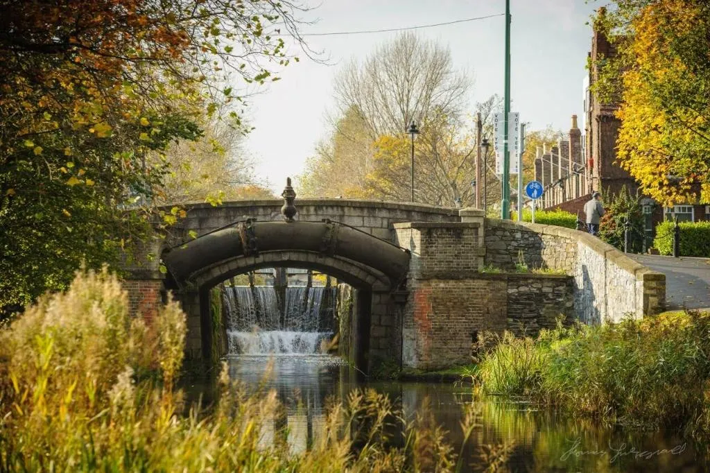 General view, Leeson Bridge Guesthouse, Dublin