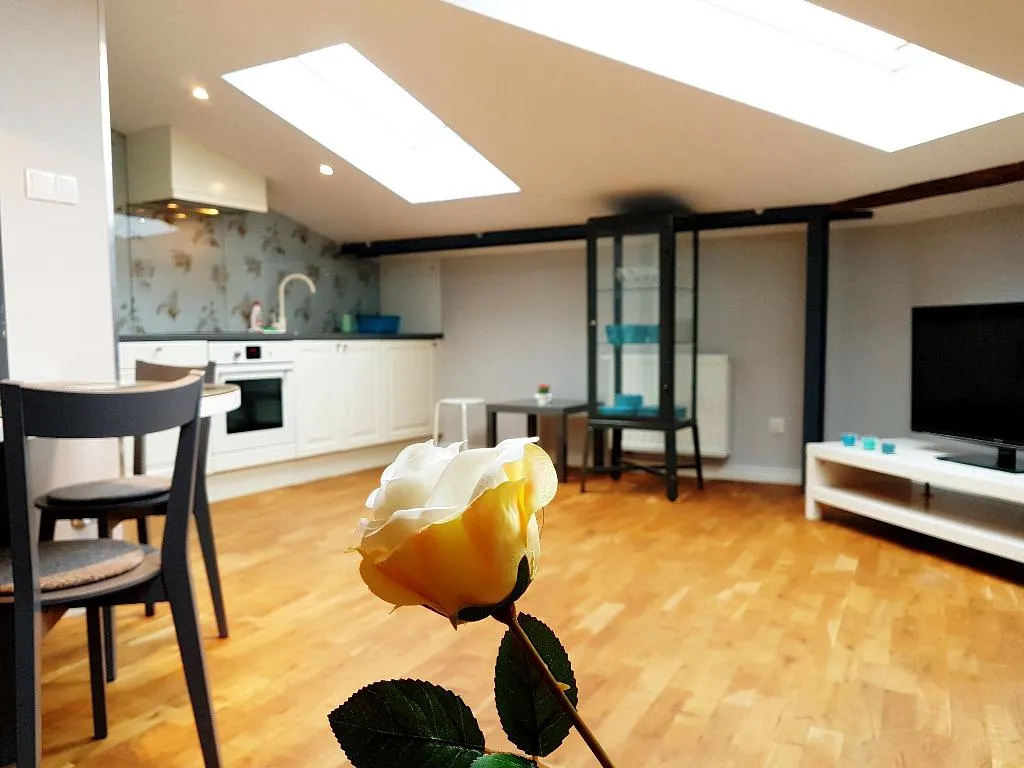 APARTMENT CAPACITY 3 ONE BEDROOM Room, Old Town Apartments Krupnicza, Krakow