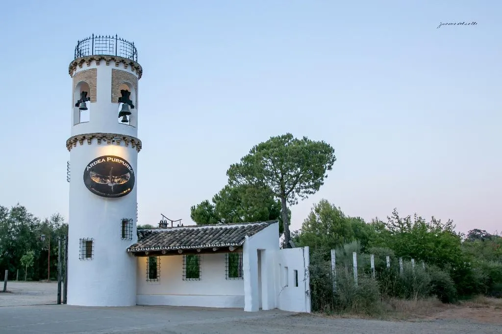 General view, Ardea Purpurea, Andalucia