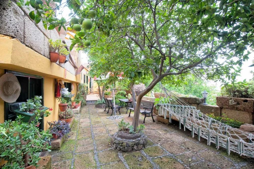 Terrace, Senderos de Abona, Tenerife