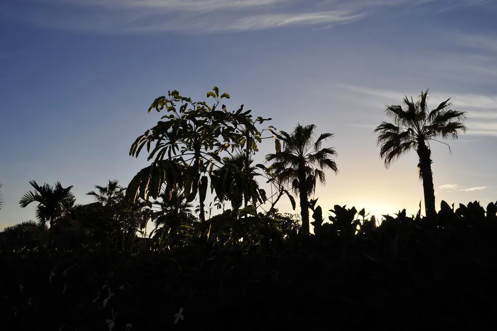General view, Rocamar Apartamentos, Gran Canaria