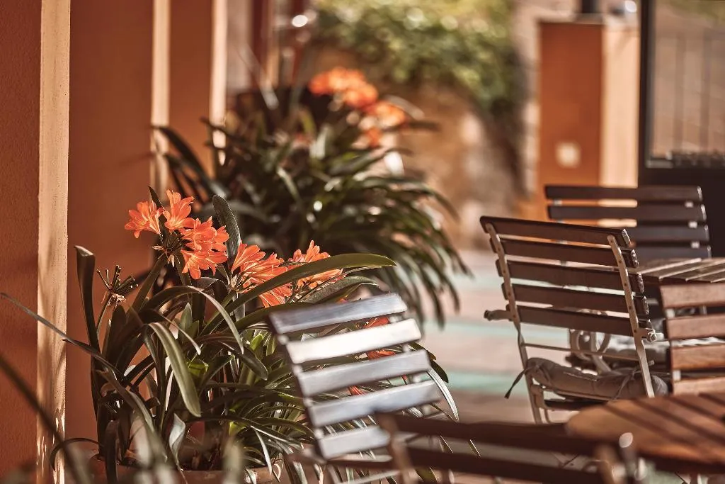 Terrace, Hotel Maristel, Majorca