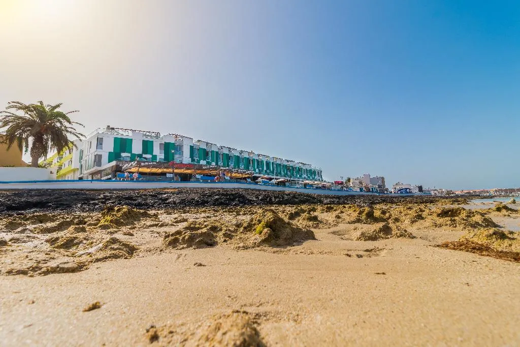 Beach, Hotel LIVVO Corralejo Beach, Fuerteventura