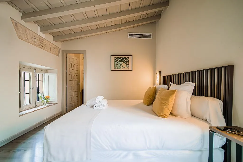 DOUBLE WITH DOUBLE BED Room, Hotel Boutique Casas de Santa Cruz, Seville