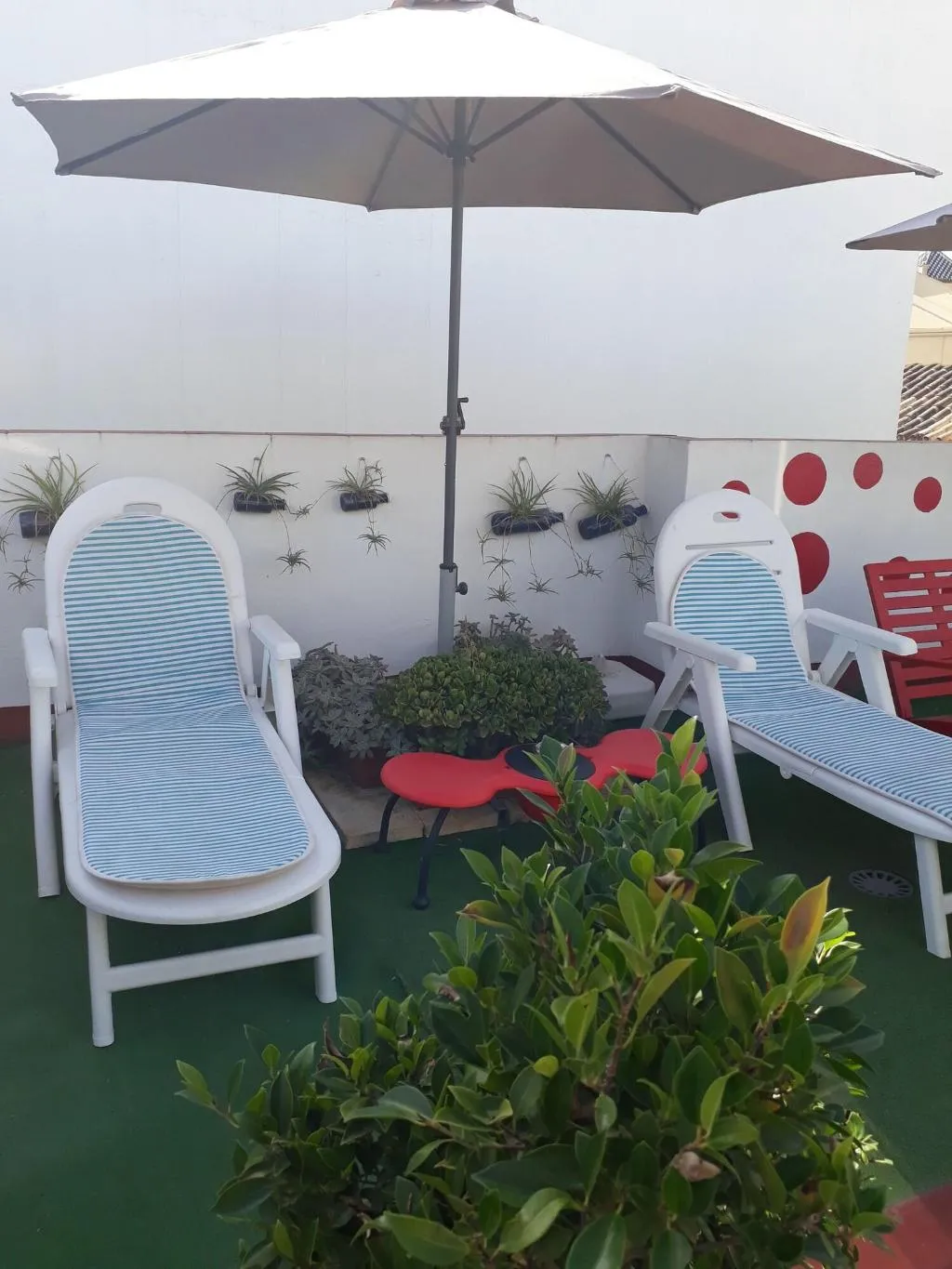 Terrace, Pensión Doña Trinidad, Seville
