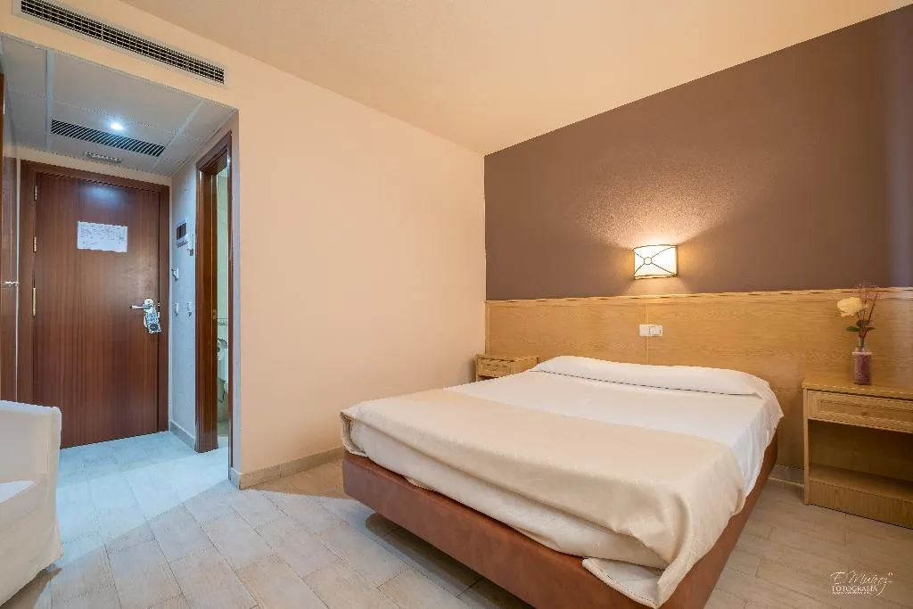 DOUBLE STANDARD Room, Hotel Vivar, Madrid