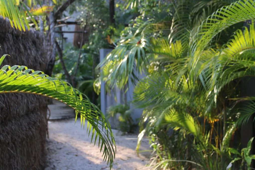 General view, Kuun Taak Tulum, Cancun Area