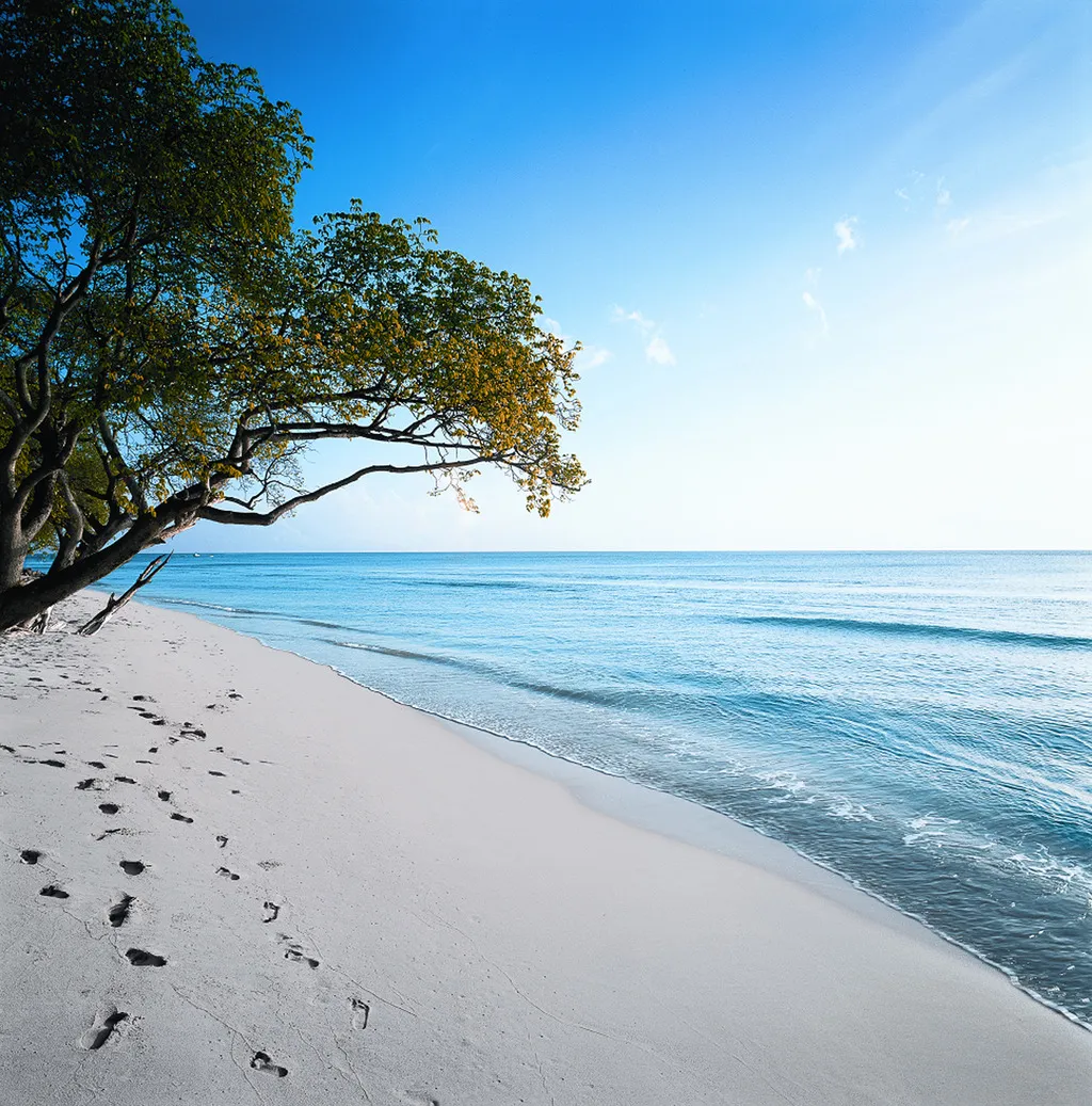 Beach, Almond Beach Resort, Barbados