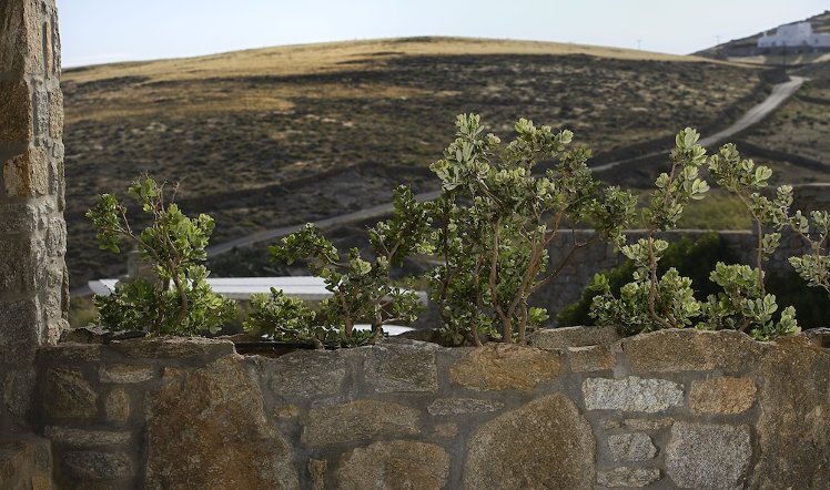 VLIA Myconian Residences, Mykonos