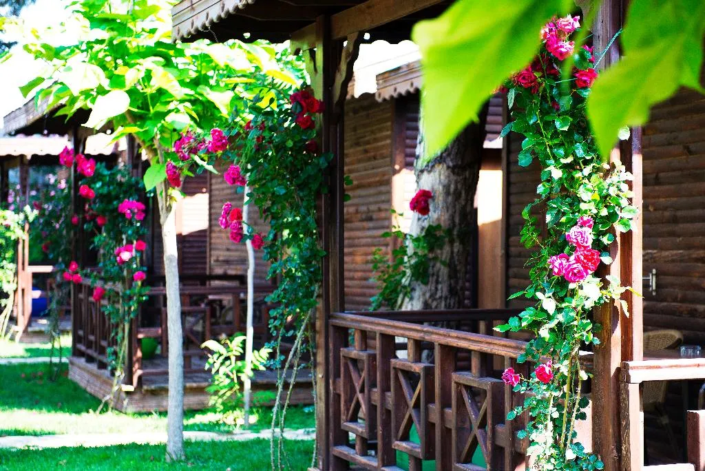 Room, Flora Garden Beach Side, Antalya