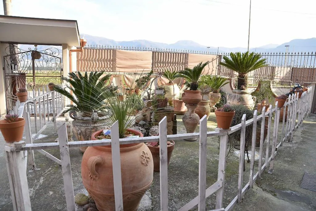 General view, B&B Le Cycas, Naples